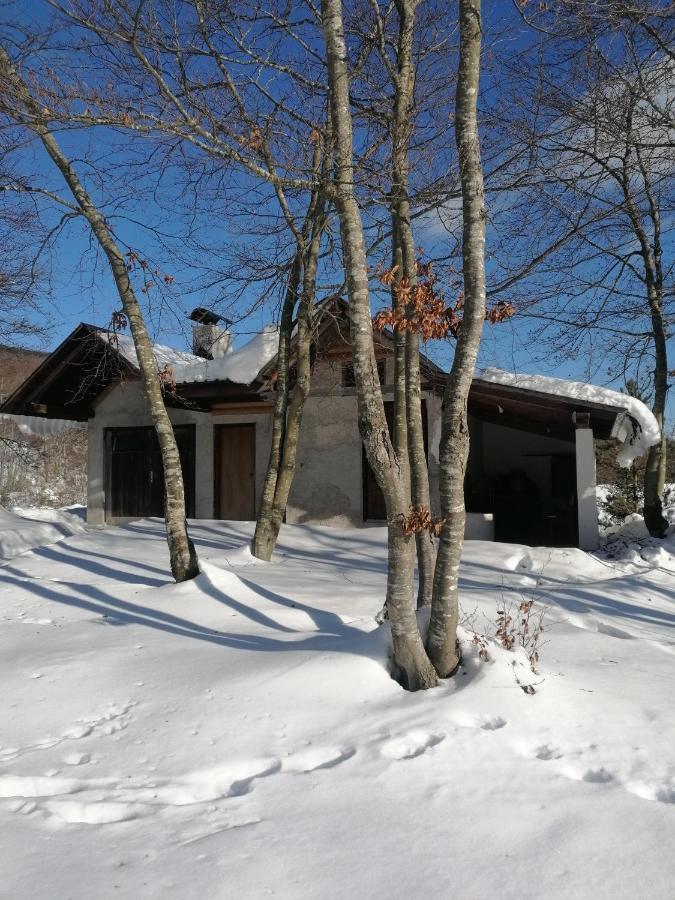 Apartman Juka Красно Поле Екстериор снимка